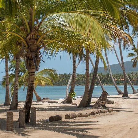 Escapade artistique dans résidence Las Terrenas Exterior foto